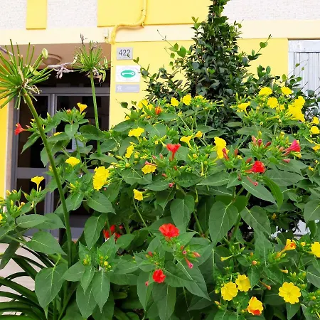 Mediterranean Concept House Affittacamere 3*