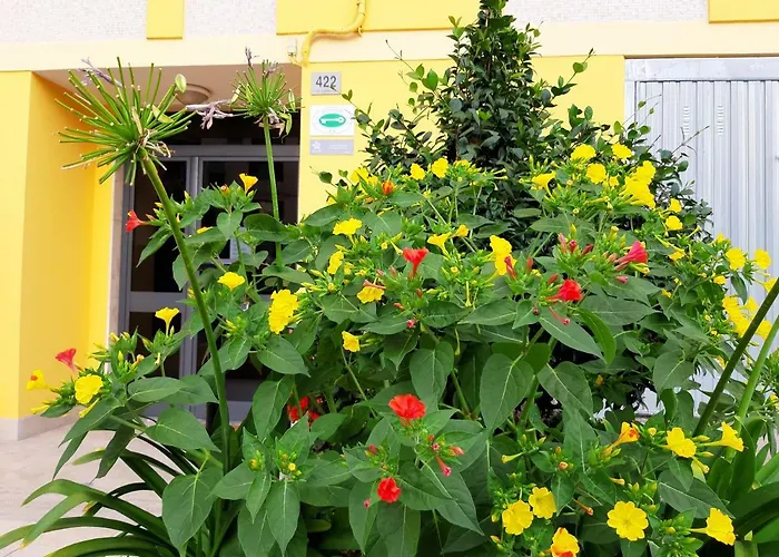 Mediterranean Concept House Penzion 3*