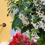 Mediterranean Concept House 3*