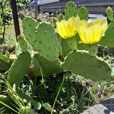 Mediterranean Concept House La Spezia