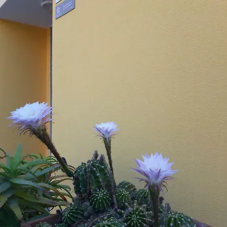 Pensión Mediterranean Concept House