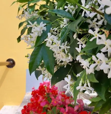 Mediterranean Concept House 3*