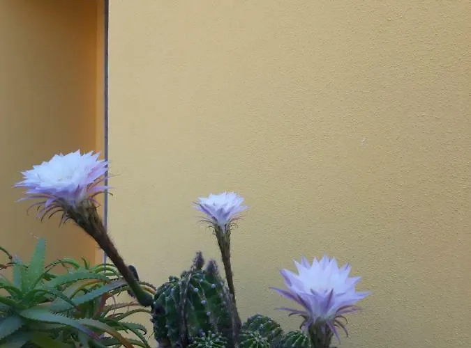 Konukevi Mediterranean Concept House